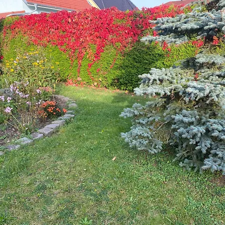 Ferienhaus am Feld nahe Berlin بيت خشبي Fredersdorf-Vogelsdorf